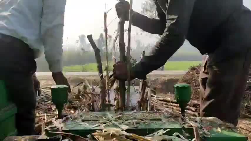 बहेड़ी: #रोज़गार
#गन्ना_व्यापार
#ग्रामीण_सेवा