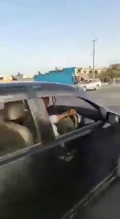 #अफगानिस्तान   New traffic police officer in #Afghanistan 🇦🇫 #Kabul 😂👮 🥴