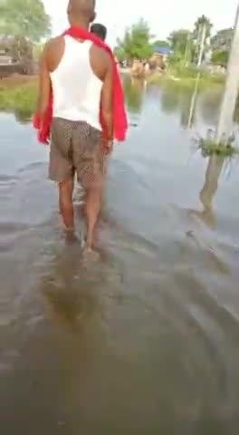 सुल्तानगंज: #सुल्तानगंज के गंगापुर वार्ड नं  19  में बाढ़ का पानी आ गया है।