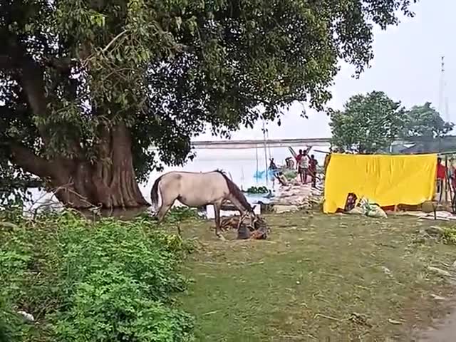 कुर्सेला: कुरसेला पुल के नीचे पानी में कमी दिखी 
#कुर्सेला