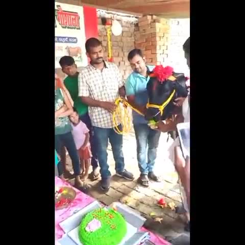 #बड़ी धूमधाम से मनाया गया गौ माता का जन्मदिन #जय गौ माता#राधे राधे