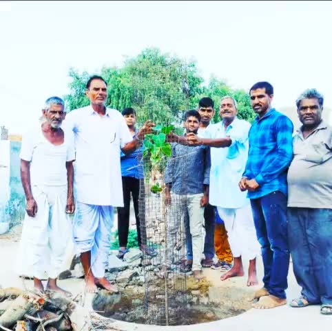 हमारे मौहल्ले का श्रृंगार पीपल का पेड़ पिछले दिनों सूख गया था । आज उसी स्थान पर पीपल का पेड़ लगाया#गुर्जर चौक झाड़ेली