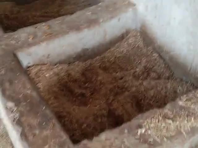 मेजा: #पहाड़ी महादेव में कुछ खास पशुओं पर ध्यान नहीं दिया जा रहा है ,