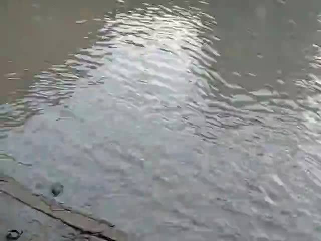 फूलपुुर: chatnaag road jhushi prayagraj 
Gangadeep colony ke samne 
#road_accidents #roads #sarkarinews