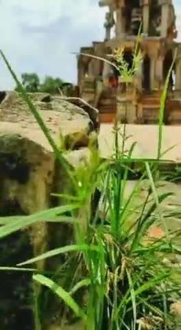 हमारे जिला मुरैना का प्रसिद्ध ककनमठ शिव मंदिर। 
#travel #tourism #morena #madhyapardesh #temple #god #beauty #nature