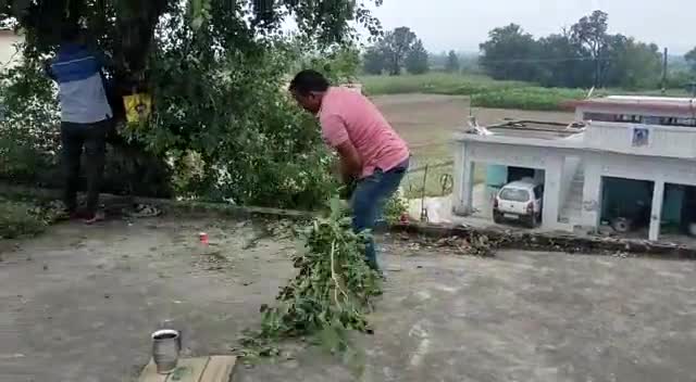 ऊना: #Pardhan kamlesh kumar
#op Pardhan Rakesh Kumar
#wardPanchtilkraj#tarachand# Raj
dbara panoh me chalaya gya sfai abhiyan