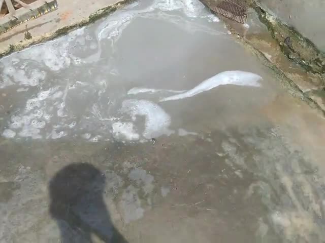 मुरैना नगर: jila morena ke ward#31 mai seewar laine hui failed garo mai lot kar aa raha hai pani ho rahi hai sabhi logo ko pareshani