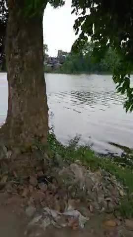 नवगछिया: #Rajendra colony , Naugachia me baar pani ka pravesh hua hai