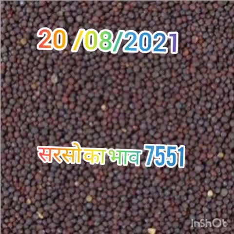 डीग मंडी सरसो का भाव 7551
#mustard #सरसो