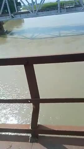 #चौथम प्रखंड में कोसी एवं बागमती नदी में लगातार हो रही वृद्धि