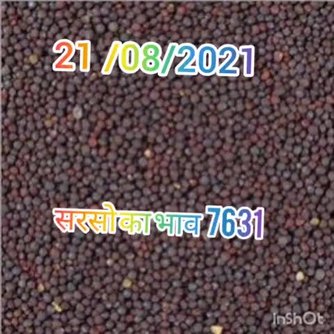 21 august 2021 आज सरसो भाव 7631 रहा 
#mustard #सरसो