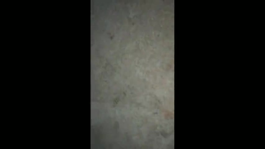 कल रात रामपुरा मोहल्ले में निकला chekard keel back सांप#snakevideo #snakerescuer 
सर्प मित्र हिमांशु जैन-7049454940