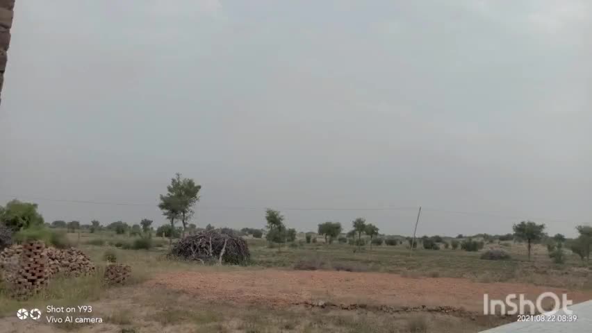 पश्चिमी राजस्थान मे अकाल के हालात बन रहे है   
#सुखा