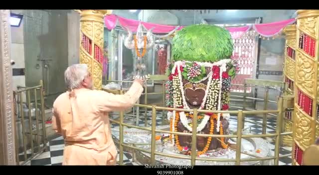 मंदसौर: जय श्री पशुपतिनाथ
भगवान पशुपतिनाथ शाही सवारी की अदभुत झलकियां #pablick #jansampark#daspur Darshan#paryatan