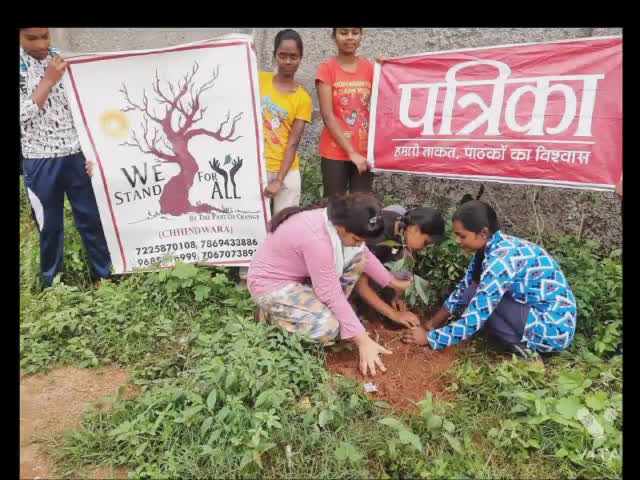 संस्था वी स्टैंड फाॅर ऑल एवं पत्रिका द्वारा किया गया पौधारोपण। जिसमे संस्था अध्यक्ष फैसल अफरोज कुरैशी ,अश्विनी गजभिये, अंकिता भलावी, साक्षी यादव, विनिता यादव, वैशाली,रितिका विश्वकर्मा, रूपाली खंडागडे, दिपाली खंडागडे उपस्थित रहे। #WSFA