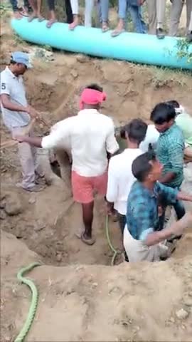करछना: #हाई टेक सिटी मवैया गांव में एक भैंस
 चैंबर में गिर गई थी 3 दिन से गिरी थी
3 दिन के बाद मिली#