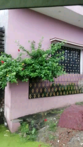 देेेवरिया: 10 दिनो से पानी लगा है लेकिन नगरपालिका वाले लोग येहा पर ध्यान नहीं देते हैं
#devriya डॉक्टर रामा पति त्रिपाठी
#