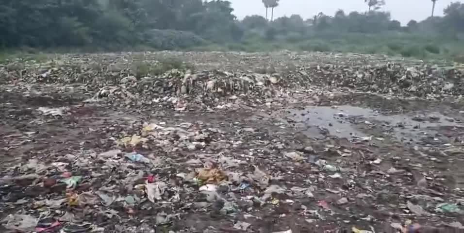 काव नदी का अस्तित्व हुआ समाप्त।
नगर परिषद डुमराव ने बना दिया गया कूड़ा डंप करने का स्थल।
#NGT के नियमों की उड़ी धज्जियां