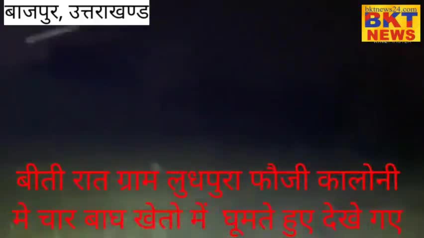 बाजपुर फौजी कालोनी लुधपुरा में कल शुक्रवार रात्रि मे चार बाग देखे गये ग्रामवासियो मे दहशत   का माहौल#Bagh#tendua#sheir