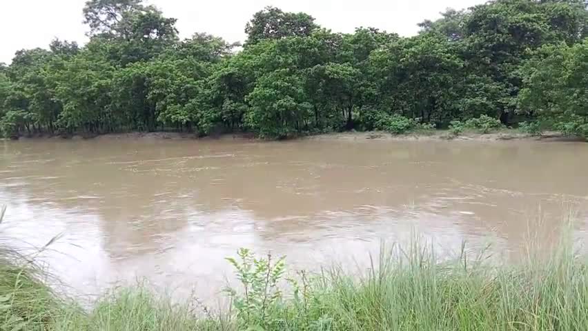 नरकटियागंज: #biharflood #westbengal #likeindia #naresh91395 #sachinkumar2000jhundpur