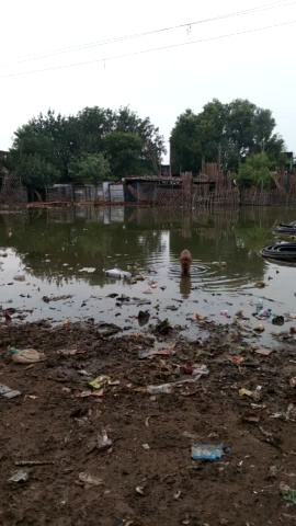 इंदरगढ़: शीतला गंज में मनवेल सरकार के सामने भरा गंदा पनप रहे डेंगू मलेरिया के मच्छर
#इंदरगढ़ #इंदरगढ़