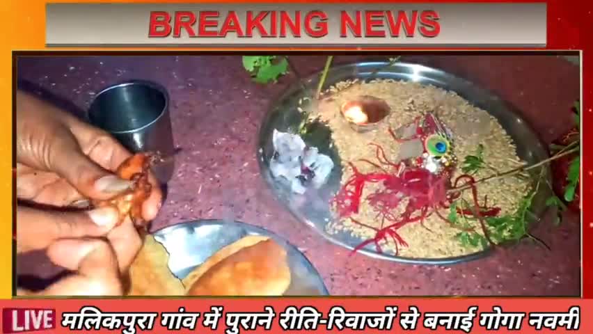 किशनगढ़ रेनवाल, क्षेत्र के ग्राम पंचायत मलिकपुर में धूम धाम से मनाया गोगा नवमी #त्योहार