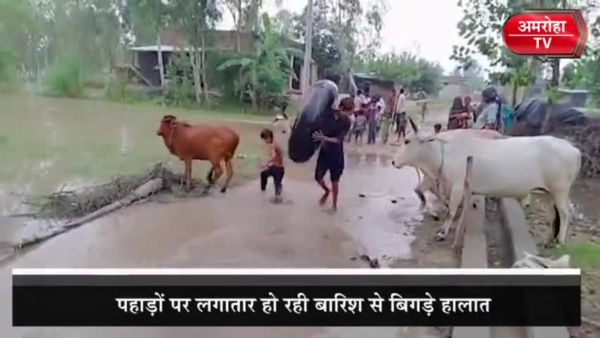 पानी में तैरते दिख रहे अमरोहा प्रशासन के सारे दांवे... लोग पानी में जिंदगी जीने को मजबूर! |
.
.
.
#flood #Amroha #AmrohaPolice #amrohaflood