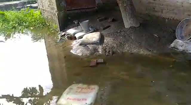 आप लोग देख सकते हैं बाढ़ का पानी बहुत ज्यादा आ गया हैग्रामीणो को बहुत कठिनाई हो रही है
 ये #बरौली पंचायत के सेमरीयाँ गाव