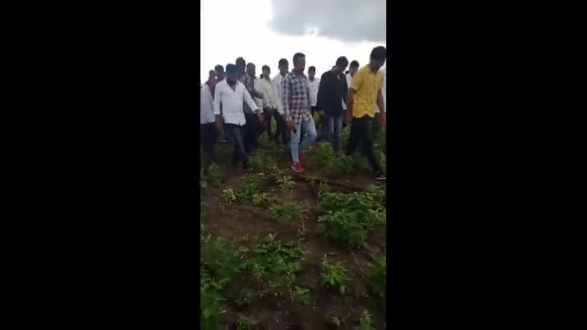 प्रतापगढ़: white_grupt किडो से सोयाबीन की फसल को नुक्सान विधायक साहेब पुहचे निरक्षण करने।
#pratpghar #rajsathan #farmer #अन्नदाता
