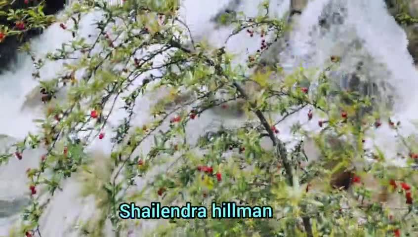 मिल्की वॉटर फॉल #जखोली ब्लॉक
#uttrakhand #uttrakhand_news #rudraprayag #Jakholiblock #shailendrahillman