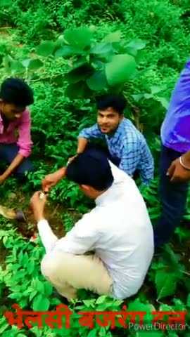 बल्देवगढ़: #आज ग्राम भेलसी में गाय को मारी टक्कर जिसकी सूचना हमको ग्राम वासियों ने बजरंग दल वालों को दी🚩🚩#बल्देवगढ़