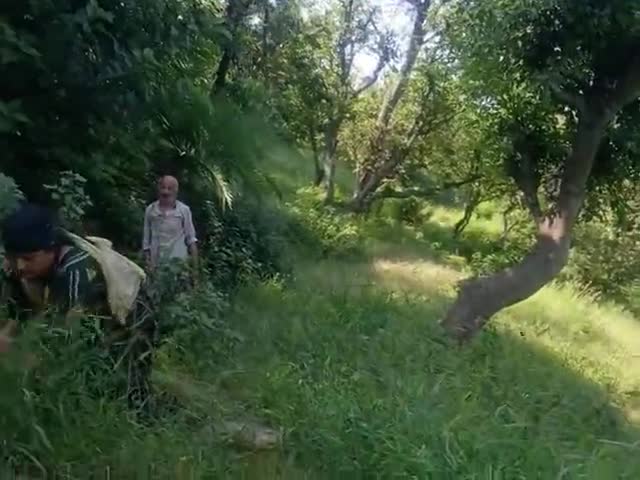 घास काटने का लाइव#नरेश ठाकुर