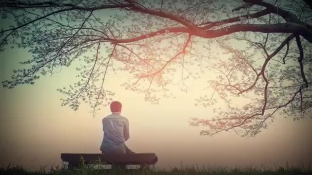 दिमाग़ के वजन को कैसे कम करें।।
#feeling #motivationalquotes #poetry