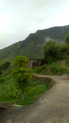 डेहर: Kandar vilage Mandi#very beutiful place nd very nice 🌴🎄🎄🎄🎄🎄🎄🌴