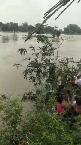 तुरकौलिया: #चकिया (नरहर पकड़ी बांध  को टूटने से रोकने मे लगे निवासी लोग )