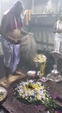 नागेश्वर ज्योतिर्लिंग बाबा बासुकीनाथ जी का श्रृंगारी पुजा आरती दर्शन #basukinath #jharkhad #puja #aarti #biharnews #bgp