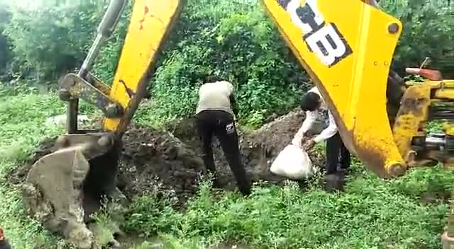 गो माता का अंतिम संस्कार रुई में बजरंग दल ने किया #गोमाता