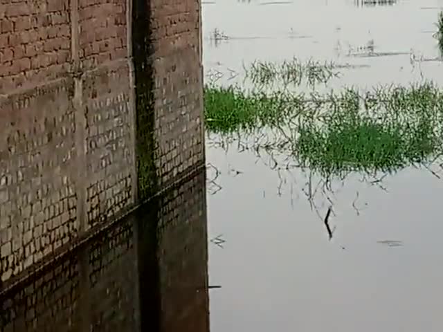 सरैया: gurmiya Tiwari tola thana karta hai#pani