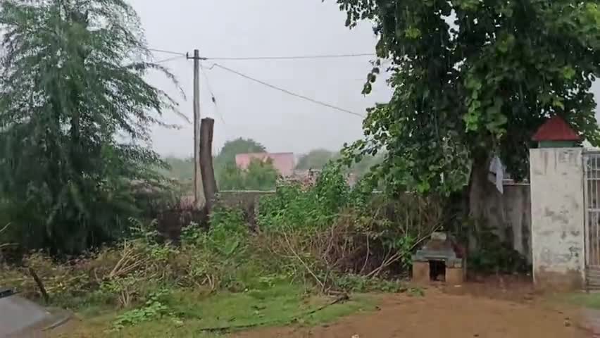 चूरु के निकटवर्ती गांव सातड़ा में तीसरे दिन भी अच्छी मूसलधार बारिश ।🌧️🌧️🌧️☔⛈️🙏
खबरों के लिए फॉलो पर क्लिक करे।#चूरु