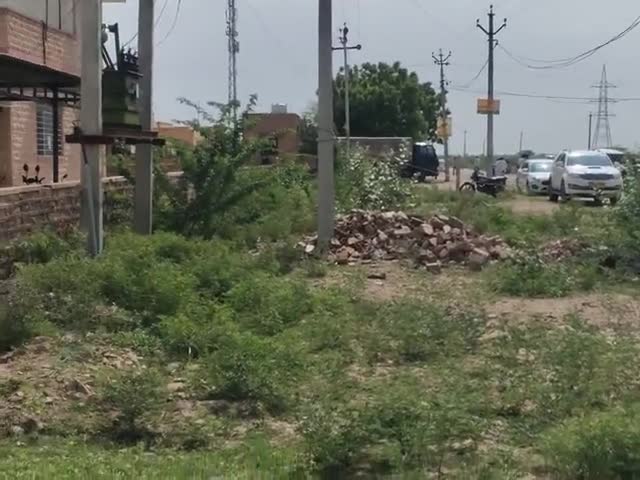 बावड़ी: #baori #jodhpurnagarnigamnorth