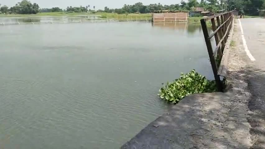 औराई: #औराई #मुजफ्फरपुर बाढ़ में बह रही पानी से बेचैन है लोग