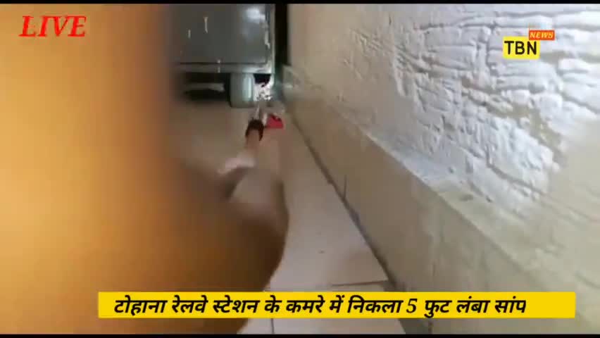 टोहाना रेलवे स्टेशन के कमरे कि अलमारी मे निकला #सांप  #नवजोतसिंहढिल्लों की टीम ने किया #रेस्क्यू