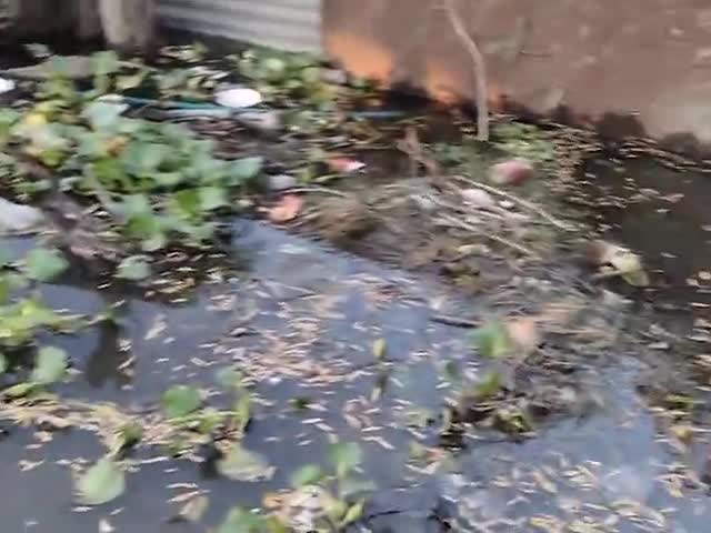 दलसिंहसराय: #दलसिंहसराय  केवटा 1वार्ड में अभी तक ला पानी नहीं सुखा है।@