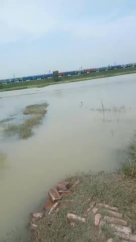 #चौथम प्रखंड अंतर्गत कोसी एवं बागमती नदी में लगातार हो रही कमी﻿@﻿@﻿@﻿@#