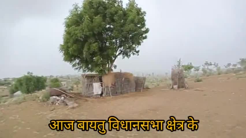 आज बायतु विधानसभा क्षेत्र नरशाली नाडी मे जोरदार बारिश हो रही है न्यूज नेटवर्क बायतु #manojbaytu