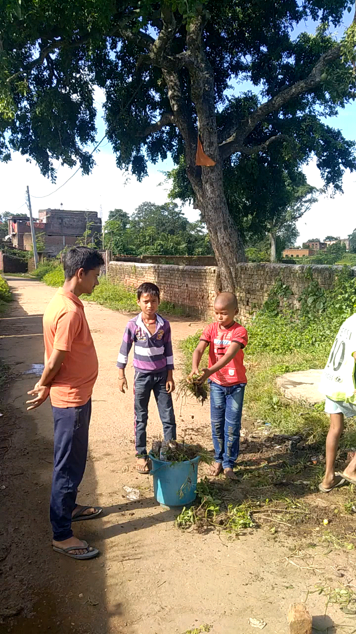 हज़ारीबाग: नयाखाप मुकुंदगज के छोटे-छोटे बच्चे लोग ने अपने गांव मोहल्ला में स्वच्छ अभियान चलाया#publicnews #modidisaster ﻿#jharkhand