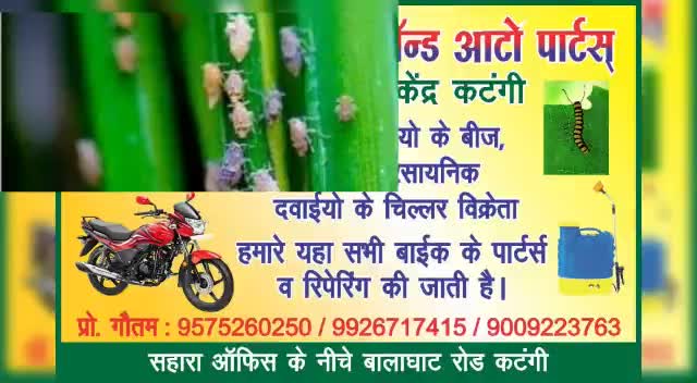 #तिरुपति एग्री सीड्स कृषि केंद्र कटंगी धान में भूरा माहू, चेपा , लकवा , लाई और अन्य बीमारियो की दवाईयां उपलब्ध है।