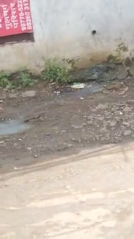 इंदौर: indore jese shar me salo se h kharab road or logo road pr pani bha rhe h 
#dengu