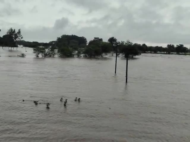 #मूसलाधार बारिश से खैरझीटी नाला उफान पर