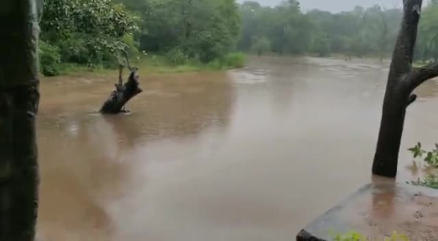 बालोद: बालोद के समीप पर्यटन स्थल सियादेवी का नजारा#rain #balod #supportindia